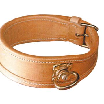 Blood Tracking Collars For Dogs Blood Tracking Collars For Dogs